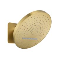 Gold Stainless Steel Shower Head