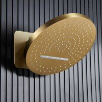 Gold Stainless Steel Shower Head - Image 2