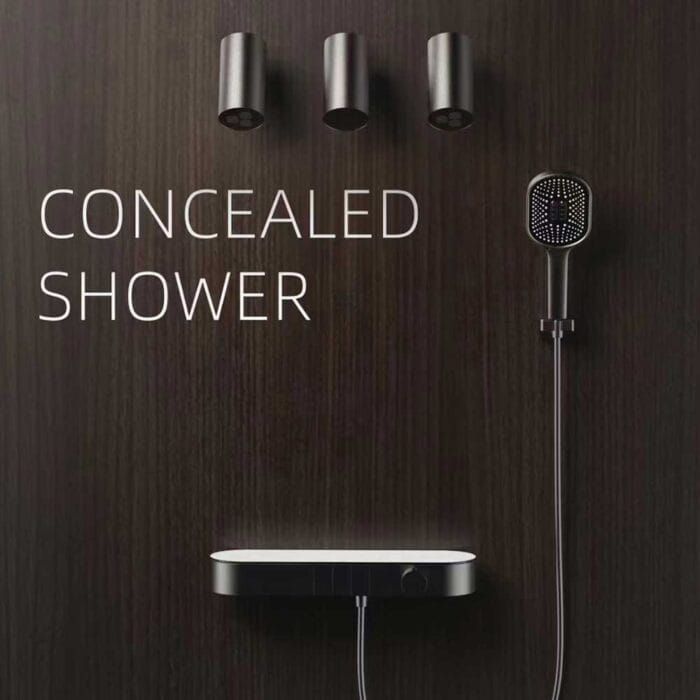 Thermostati Concealed  Shower Kit